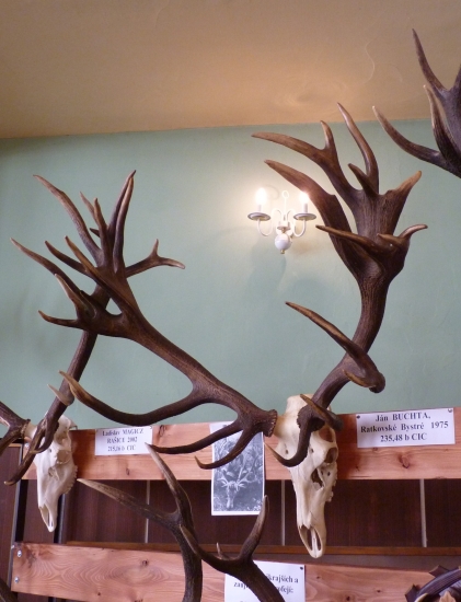 Chovatelská prehliadka-Jelšava 2