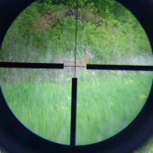 Nestrielaj !  Chovný !