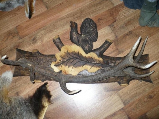 Zhod 16-toráka a darček od kamaráta bude s toho pekný vešiak