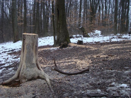 Starostlivosť o zver nechal my darček