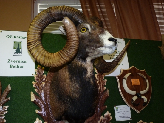 Chovatelská prehliadka okr,Rožňava