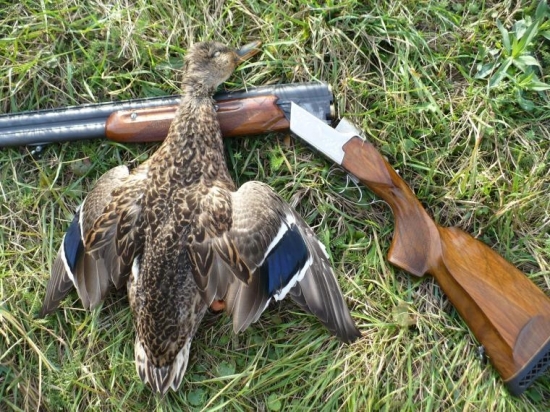 kačica a moja 12-ka