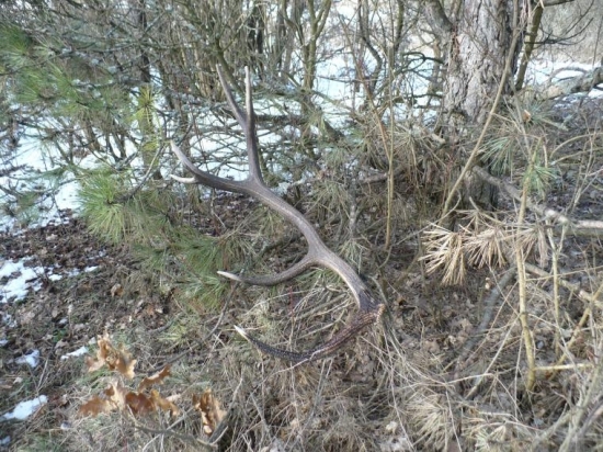 druhý v tomto roku 2