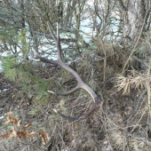 druhý v tomto roku 2