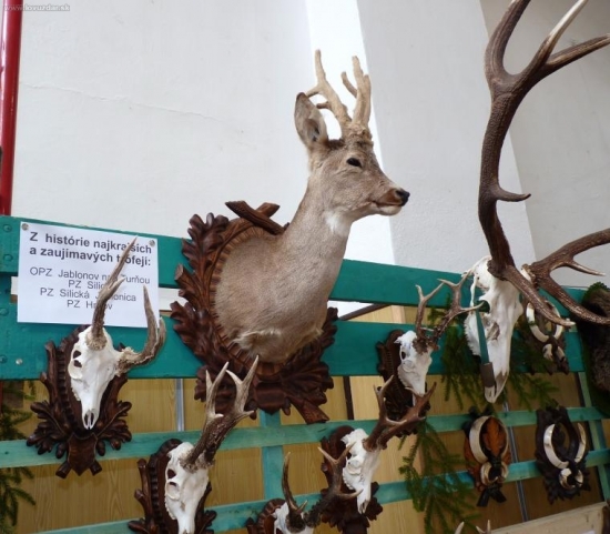 chovatelská prehliadka Jablonov nad Turnou