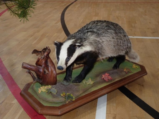 chovatelská prehliadka Jablonov nad Turnou