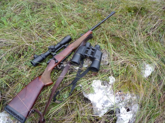 ČZ-550