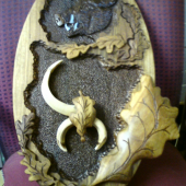 nová podložka pod trojzubého diviaka