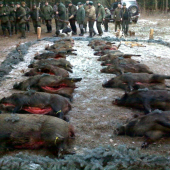 úspešná poľovačka