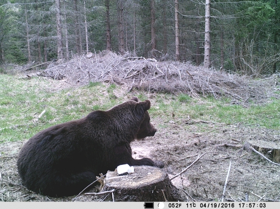 Cakanie na vysoku
