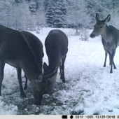 Čo dobré ste našli ?