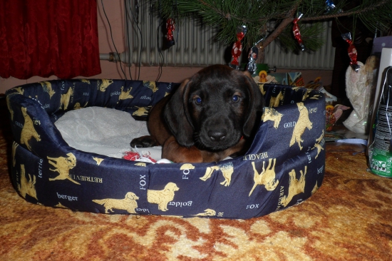 Ešte som malý,ale už teraz sa teším na lesné dobrodružstvá :)