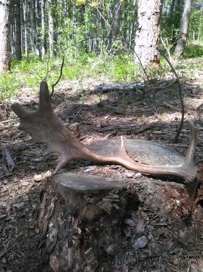 Potesila srdiecko :D