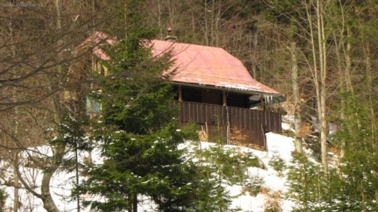 paradni vikend u bibika