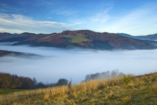 Inverzia