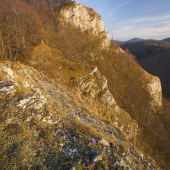 Jarný večer