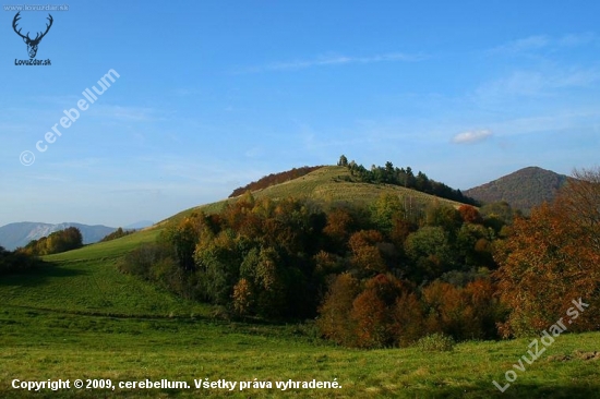 Šibeny harbek