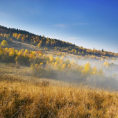 Posledné farby jesene