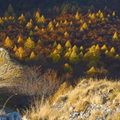 Jesenné ráno na Folkmarskej skale