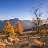 Pod Folkmarskou skalou