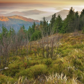 Ráno na Kojšovskej holi