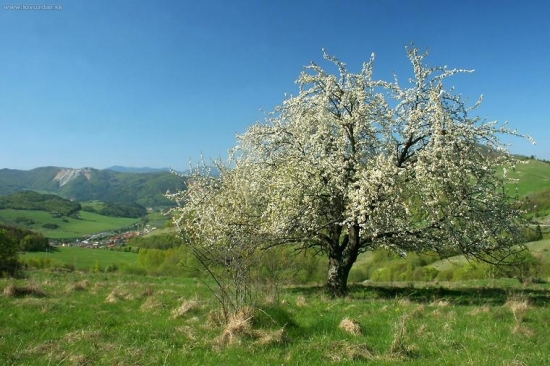 Jar nad Veľkým Folkmarom