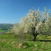 Jar nad Veľkým Folkmarom
