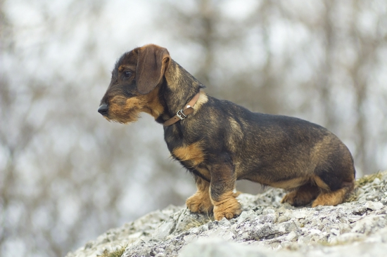 Hilary od Olčáka - 5 mesiacov