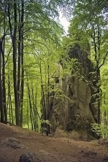 Kojšov - Turniská