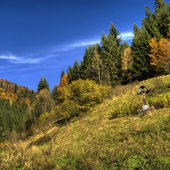 Rybô - pamätný kríž