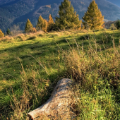 Pod Folkmarskou skalou