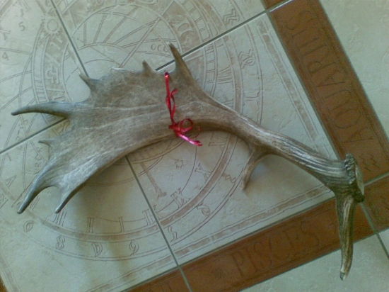 darcek k narodeninam