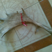 darcek k narodeninam