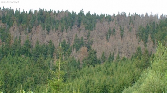 Snaha ochranárov
