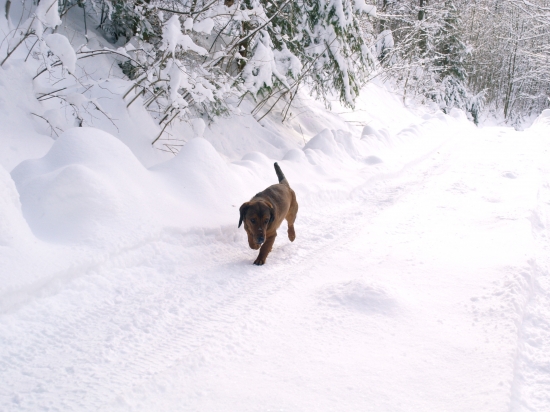 Kde su tie lanské snehy?