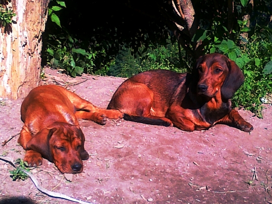 Moje slniečka si užívajú slniečko