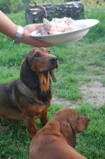 Kto je váš najlejší kamarát?