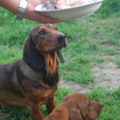 Kto je váš najlejší kamarát?