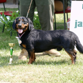 BOB, CAC, CC, Klubový víťaz pes KCHAJD pri SPZ Sielnica 2012