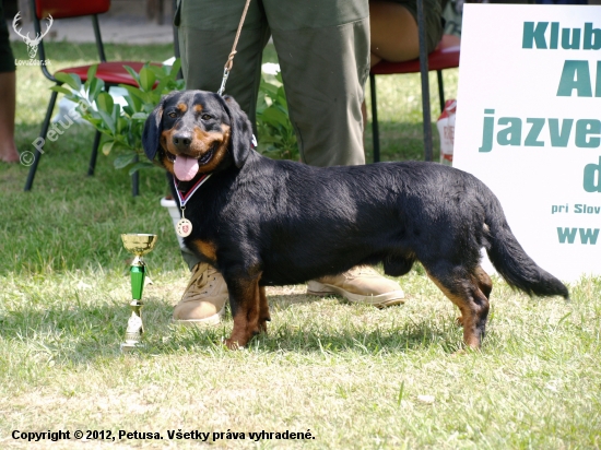 BOB, CAC, CC, Klubový víťaz pes KCHAJD pri SPZ Sielnica 2012