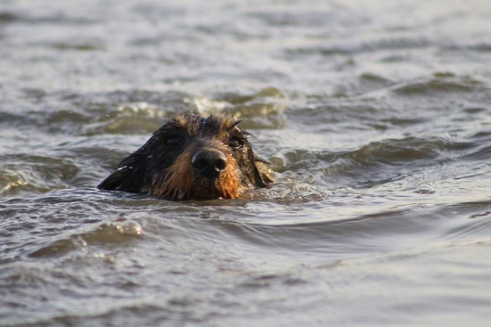 Ako sa hurka prvý krát plavila