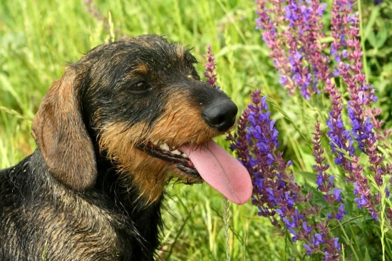 Nefoť motýla,tusom ja..