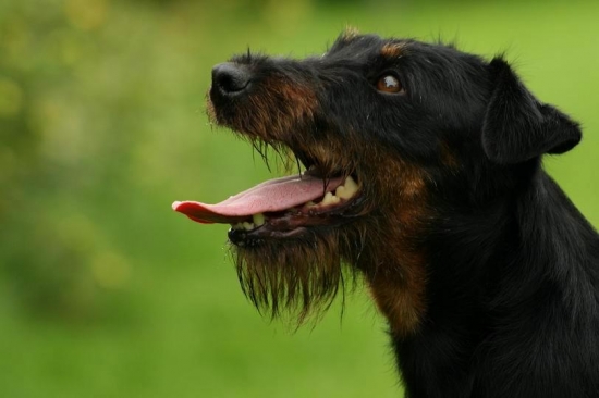 Hasan Komjatické jazero