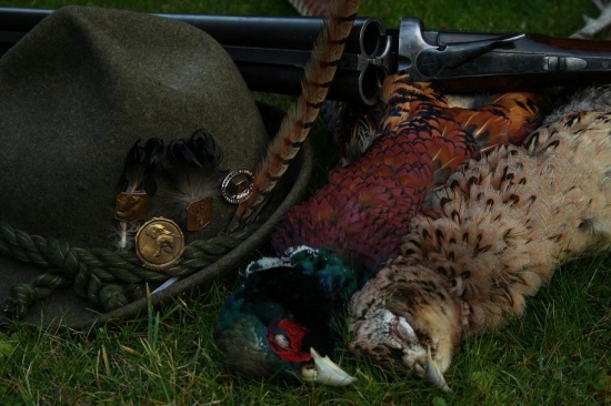 Po výrade - Môj prvý kohút