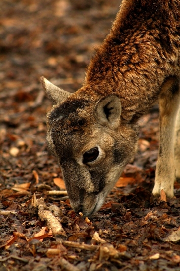 Nájdu sa tu niečo pre mňa?