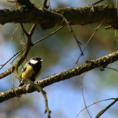 Čo robís? Čo ma fotíš?