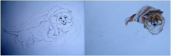 Ako vzniká - Súboj