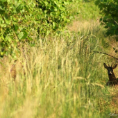 Siesta nieje len pre Španielov :)