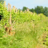 Počas kľudného teplého dňa