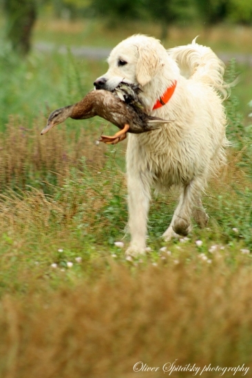 Mám ju!..a živú :)